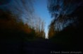 /album/gallery-half-second/pul-vteriny-web46-jpg2/